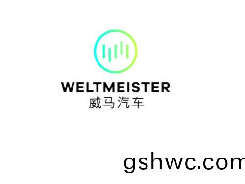 威馬(ma)汽車